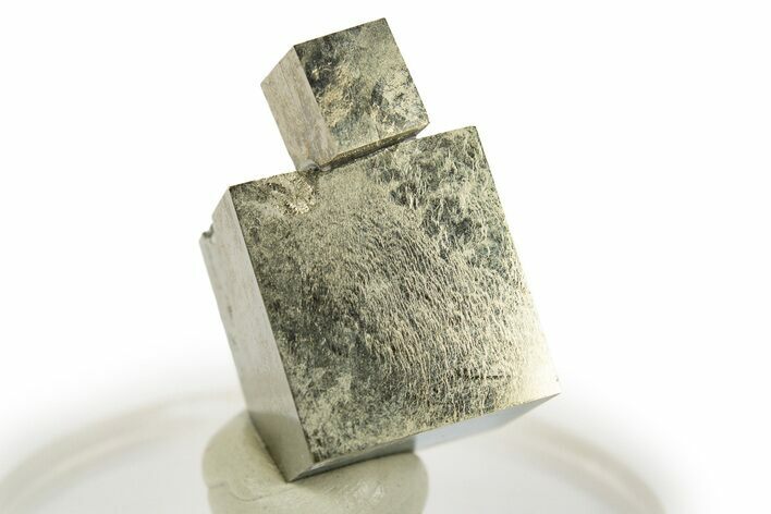 Shiny, Natural Pyrite Cube Cluster - Navajun, Spain #307031